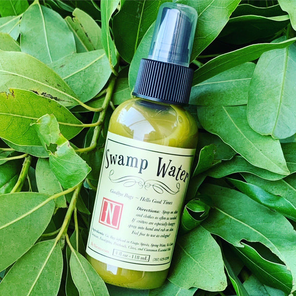 Swamp Water